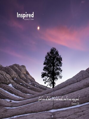 cover image of INSPIRED
